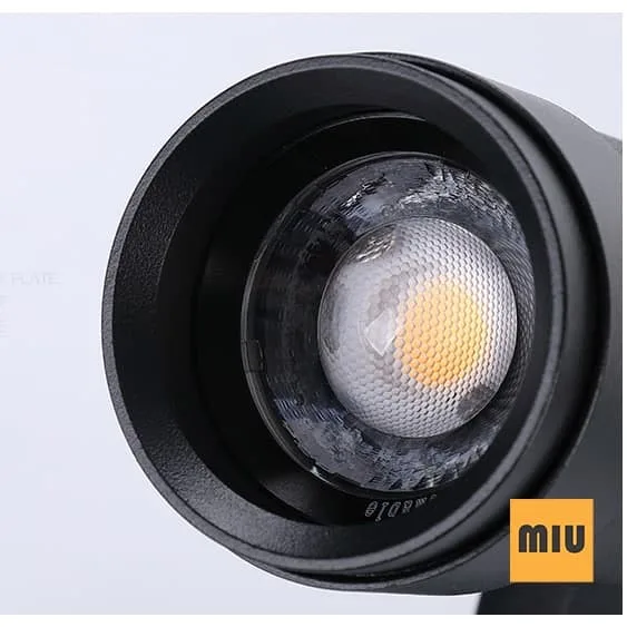 Đen rọi zoom
