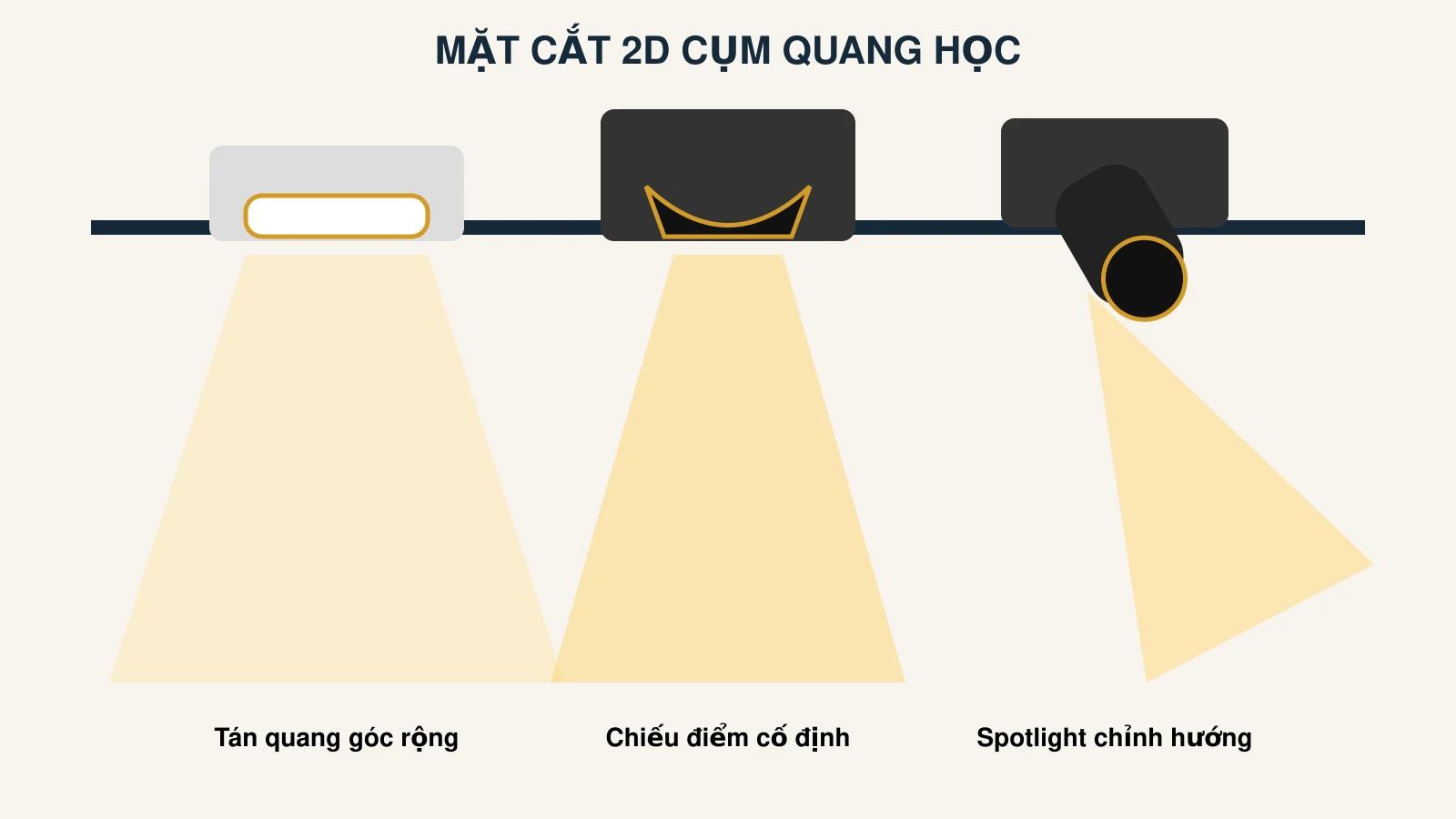 Mặt cắt 2D downlight tán quang, đèn âm trần chiếu điểm cố định và spotlight chỉnh hướng