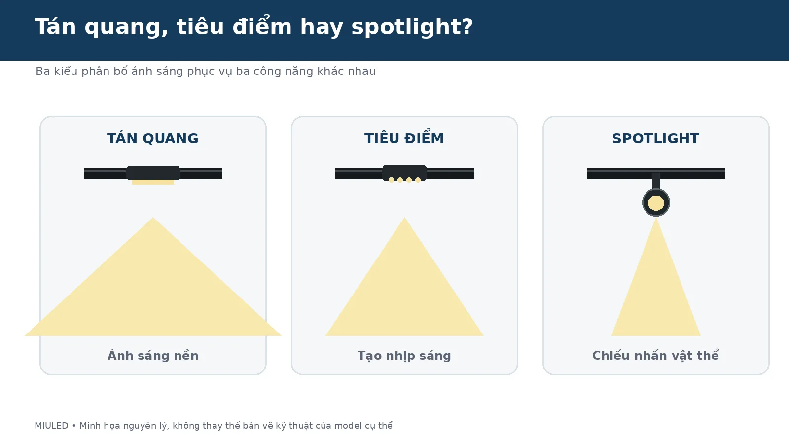So sánh đèn tán quang tiêu điểm và spotlight ray nam châm